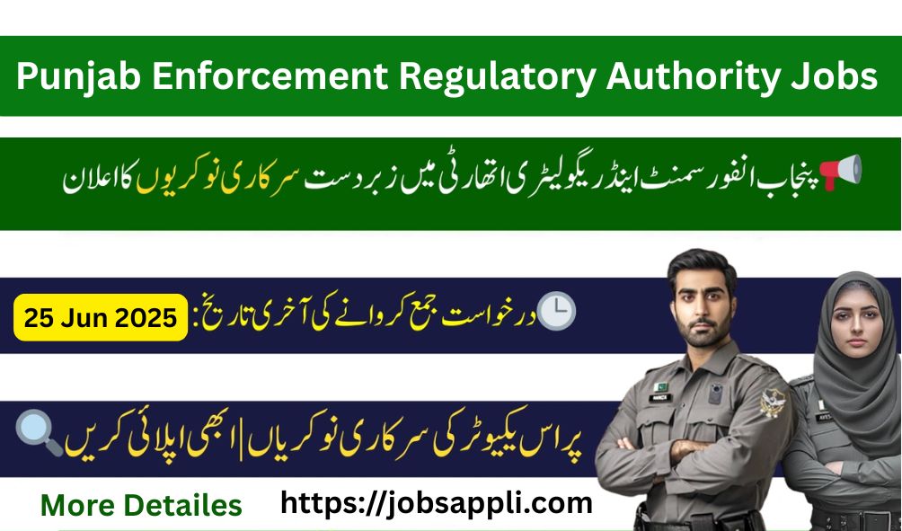 Punjab Enforcement Regulatory Authority Jobs 2025 – Submit Your Application Now