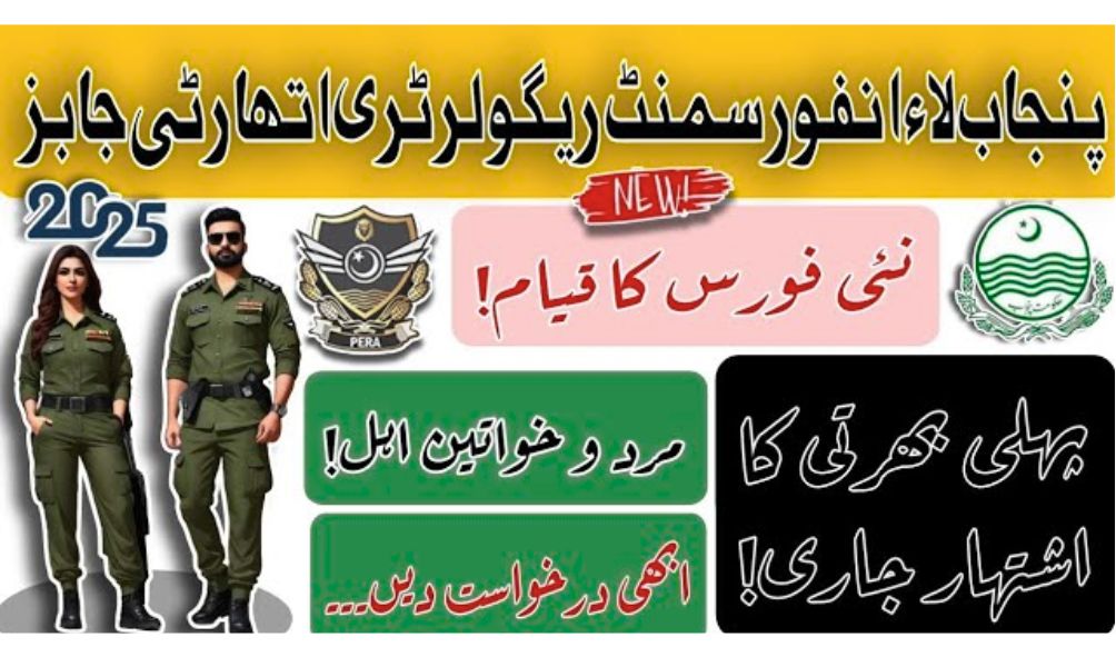 Punjab Enforcement Regulatory Authority Job